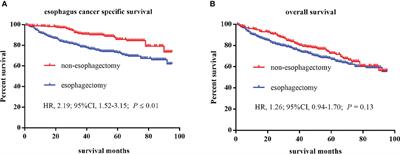 The Influence of Different Treatment Strategies on the Long-Term Prognosis of T1 Stage Esophageal Cancer Patients